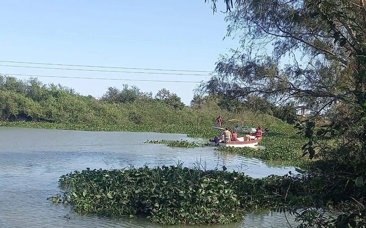 Llama a dragar lagunas de Tampico y la zona para garantizar agua 